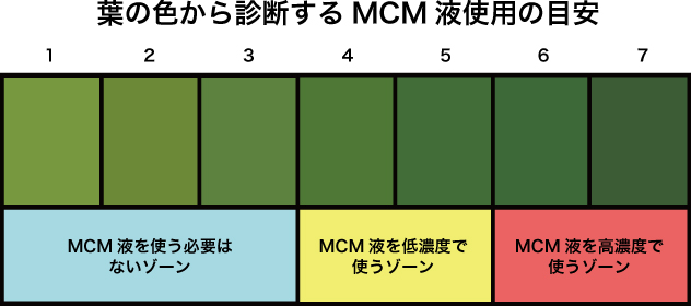 葉の色から診断するMCM液使用の目安